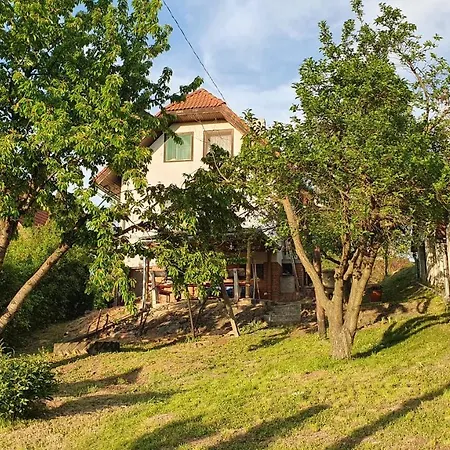 Kekcsengo Vendeghaz Tamasi